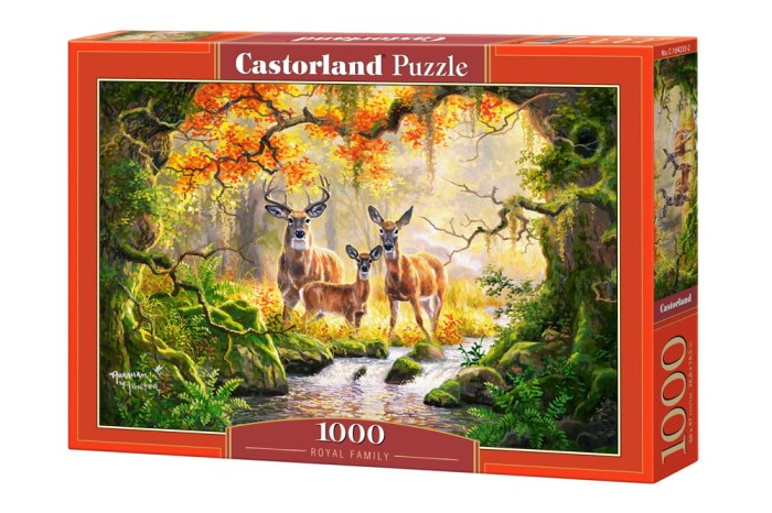 104253-box.jpg