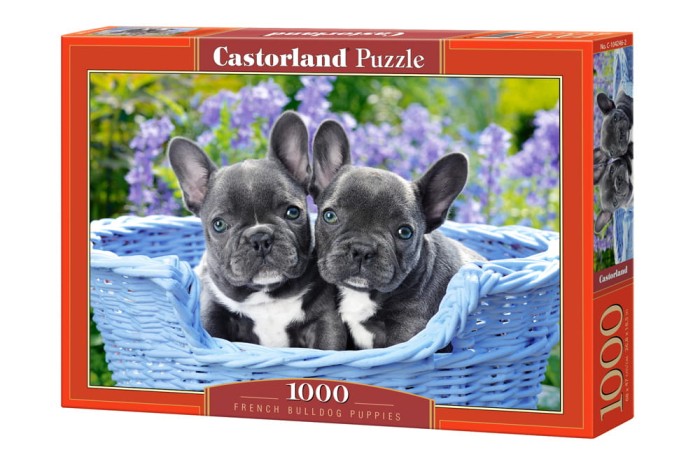 104246-box.jpg
