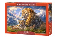 104277-box.jpg