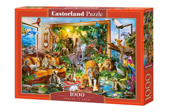 104321-box.jpg