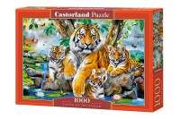 104413-box.jpg