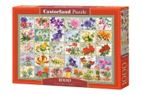 104338-box.jpg