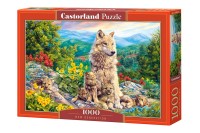 104420-box.jpg