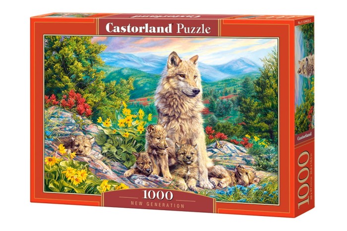 104420-box.jpg