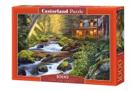 104635-box.jpg