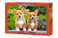 104659-box.jpg