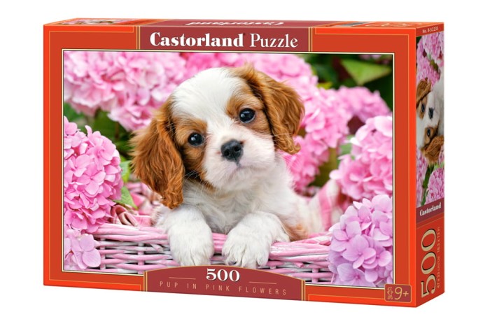 52233-box.jpg