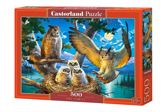 53322-box.jpg
