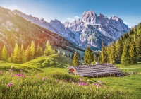 53360.jpg