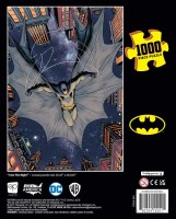 Batman-I-Am-The-Night_1k_PZ_flatbb_Web.jpg