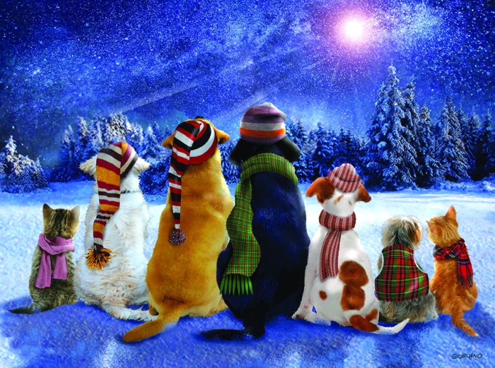 wishing-on-a-star-jigsaw-puzzle-1000-pieces.89762-1.fs.jpg