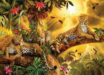 SunsOut 500 - Jan Patrik Krasny - Jungle Jaguars