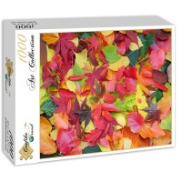 autumn-leaves-jigsaw-puzzle-1000-pieces_55678-2_fs.jpg