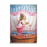 star-puzzle-the-dreamer-traveler-jigsaw-puzzle-500-pieces.89679-1.fs.jpg