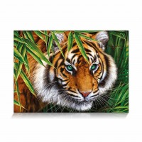 star-puzzle-tiger-look-jigsaw-puzzle-500-pieces.89652-1.fs.jpg