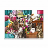 star-puzzle-cats-house-jigsaw-puzzle-1000-pieces.89626-1.fs.jpg