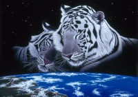 schim-schimmel-sleep-tight-jigsaw-puzzle-2000-pieces.59820-1.fs.jpg