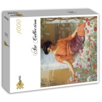 jigsaw-puzzle-1000-pieces.87506-2.fs.jpg