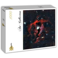 gros-plan-de-la-tete-de-la-nebuleuse-de-la-mouette-puzzle-1000-pieces.87550-2.fs.jpg