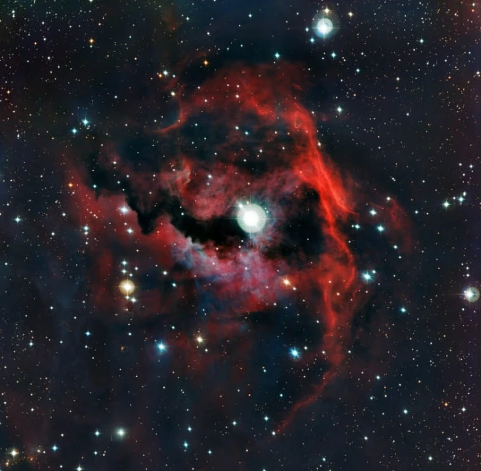 gros-plan-de-la-tete-de-la-nebuleuse-de-la-mouette-puzzle-1000-pieces.87550-1.fs.jpg