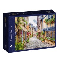 bluebird-puzzle-old-city-jigsaw-puzzle-3000-pieces.90244-2.fs.jpg