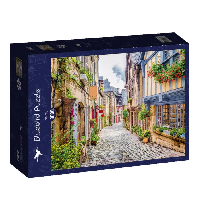 bluebird-puzzle-old-city-jigsaw-puzzle-3000-pieces.90244-2.fs.jpg