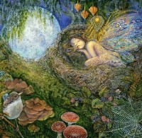 josephine-wall-fairy-nest-jigsaw-puzzle-1000-pieces.87644-1.fs.jpg
