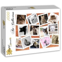 cats-jigsaw-puzzle-1000-pieces_59642-2_fs.jpg