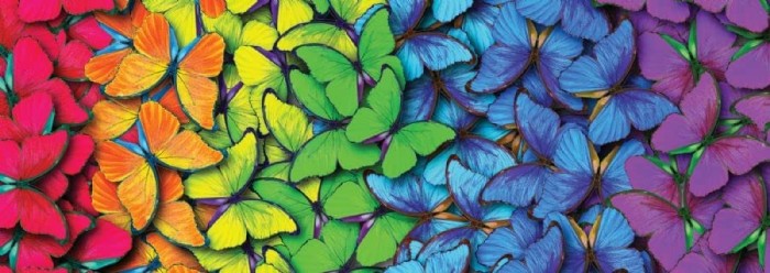 nova-puzzle-butterflies-collage-jigsaw-puzzle-1000-pieces.90604-1.fs.jpg