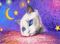 nova-puzzle-under-the-stars-white-cat-jigsaw-puzzle-1000-pieces.90587-1.fs.jpg