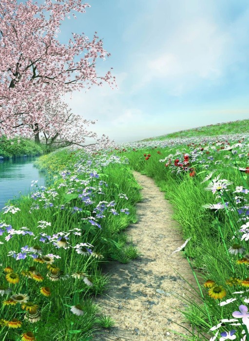 nova-puzzle-journey-to-peace-jigsaw-puzzle-1000-pieces.90580-1.fs.jpg