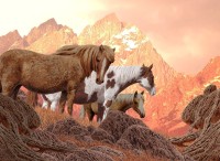 nova-puzzle-wild-horses-jigsaw-puzzle-1000-pieces.90579-1.fs.jpg