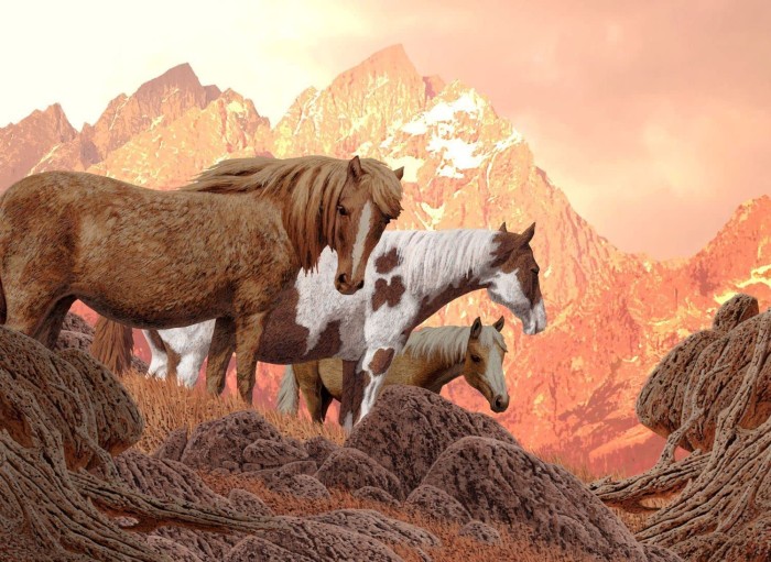 nova-puzzle-wild-horses-jigsaw-puzzle-1000-pieces.90579-1.fs.jpg