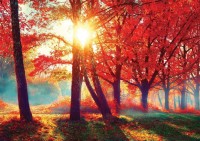 nova-puzzle-autumn-red-jigsaw-puzzle-1000-pieces.90561-1.fs.jpg
