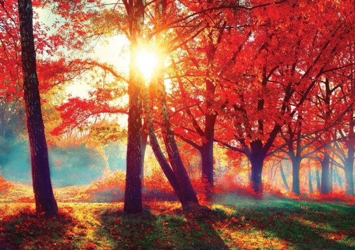 nova-puzzle-autumn-red-jigsaw-puzzle-1000-pieces.90561-1.fs.jpg