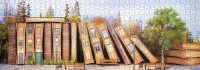 nova-puzzle-book-street-jigsaw-puzzle-1000-pieces.90554-2.fs.jpg