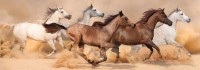 nova-puzzle-horses-running-in-sandstorm-jigsaw-puzzle-1000-pieces.90552-1.fs.jpg