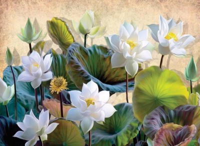 Nova Puzzle 1000 - White Lotus Flowers
