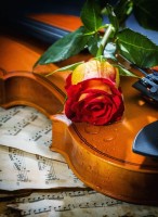 nova-puzzle-music-love-and-sadness-jigsaw-puzzle-1000-pieces.90531-1.fs.jpg