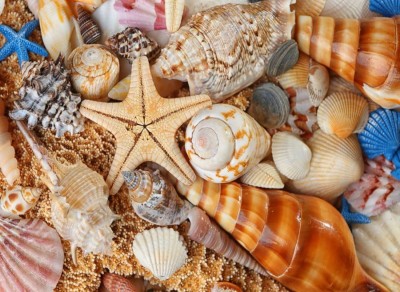 Nova Puzzle 1000 - Beach