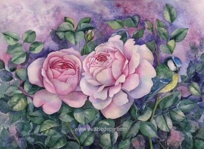 Nova Puzzle 1000 - Tatiana Plovetskaya, Two Pink Roses