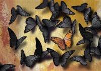 nova-puzzle-butterflies-jigsaw-puzzle-1000-pieces.90470-2.fs.jpg