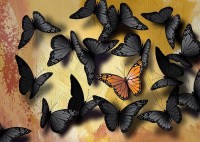 nova-puzzle-butterflies-jigsaw-puzzle-1000-pieces.90470-1.fs.jpg