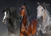 nova-puzzle-three-noble-hearts-jigsaw-puzzle-1000-pieces.90467-2.fs.jpg