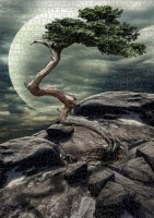nova-puzzle-natures-miracle-jigsaw-puzzle-1000-pieces.90462-2.fs.jpg