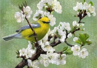 nova-puzzle-herald-of-spring-jigsaw-puzzle-1000-pieces.90448-2.fs.jpg