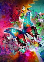 nova-puzzle-birth-of-a-fantastic-butterfly-jigsaw-puzzle-1000-pieces.90443-1.fs.jpg