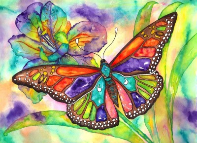 Nova Puzzle 1000 - Colorful Butterfly