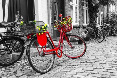 Nova Puzzle 1000 - The Red Bicycle