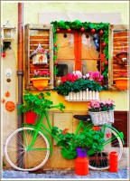 gold-puzzle-the-bicycle-jigsaw-puzzle-500-pieces.90616-1.fs.jpg